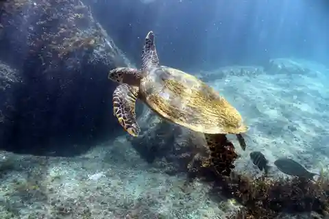 Praslin - Curieuse St Pierre Anse Georgette Private Trip