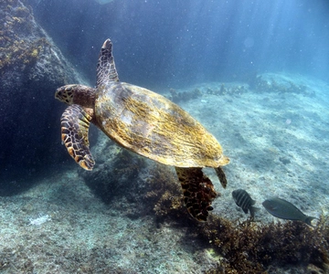 Praslin - Curieuse St Pierre Anse Georgette Private Trip