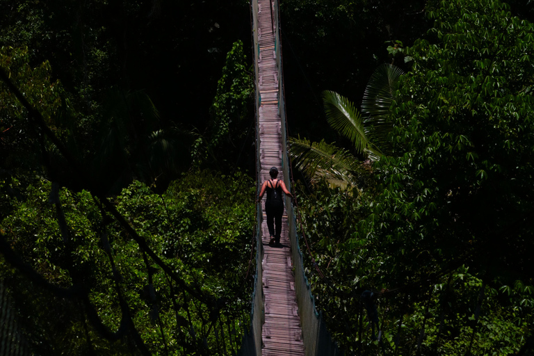 Puerto Maldonado: Tambopata Adventure + Lunch + 5 Activities