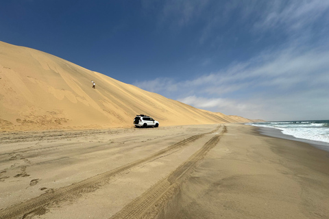 Walvisbay: Sandwich Harbour 4x4 Tour-Unparalleled Experience