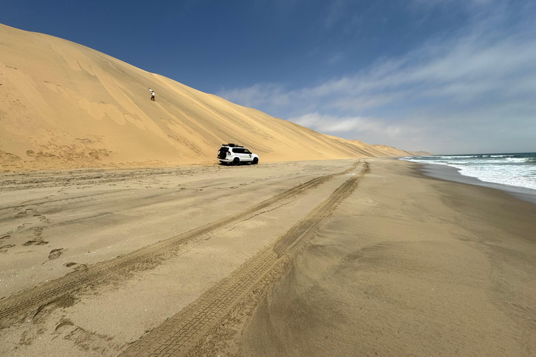 Walvisbay: Sandwich Harbour 4x4 Tour-Unparalleled Experience