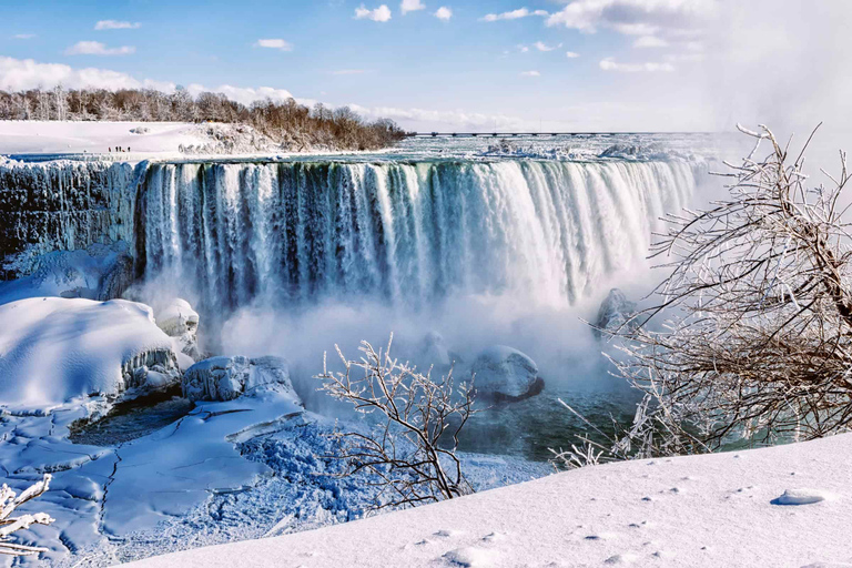 From Toronto: Winter Tour of Niagara Falls with AttractionsNiagara Falls Tour Without Attractions