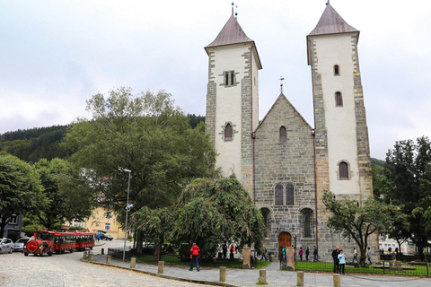 Visite guidée privée de la ville de Bergen - 8 attractions principales