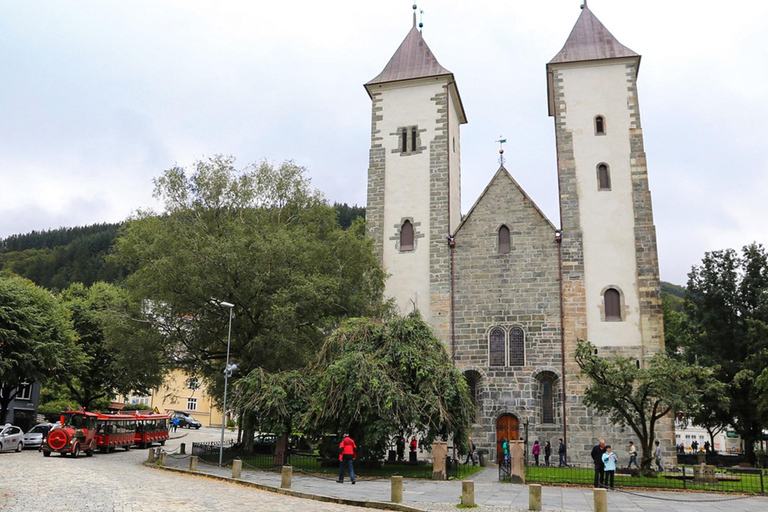 Passeio guiado privado pela cidade de Bergen - 8 atrações principais