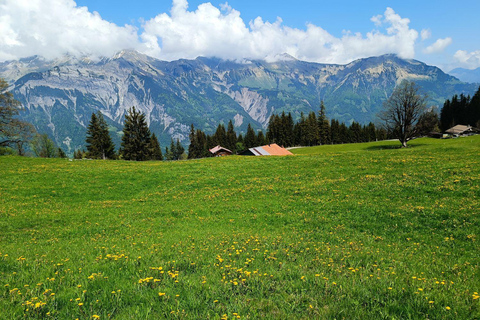 Interlaken: Recorrido por los lugares más destacados con un lugareño en coche privadoRecorrido de 3 horas