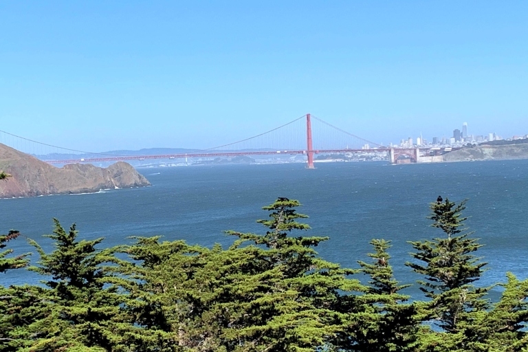San Francisco: privérondleiding door Muir Woods, Sausalito en meerSan Francisco: privétour Muir Woods, Sausalito en meer