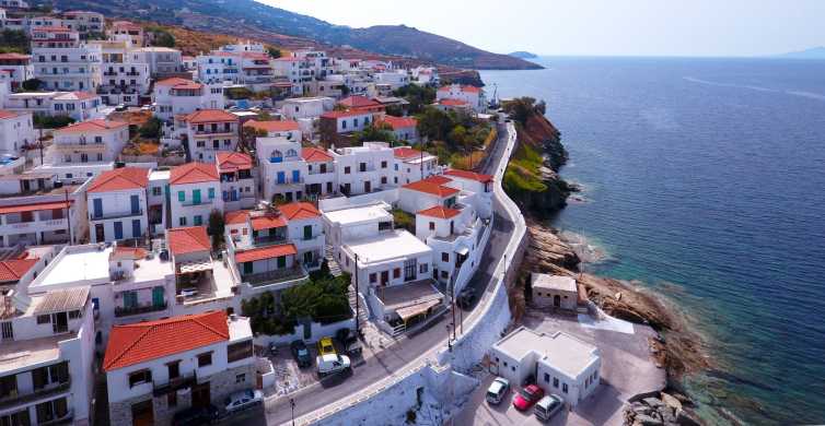 Andros: Port Private Transfer from Batsi