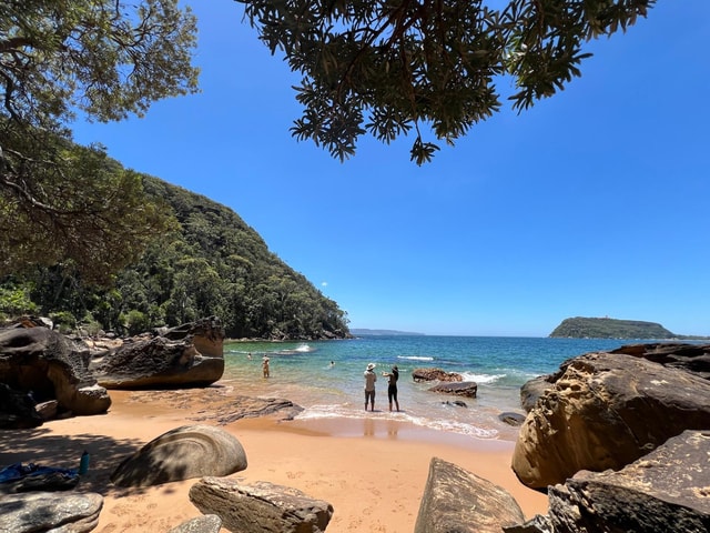 Sydney: Ku-ring-gai Chase Private Tour with Bushwalk & Swim