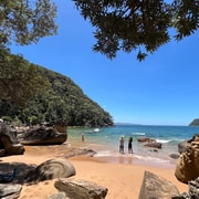 Sydney: Private Ku-ring-gai Chase National Park Adventure
