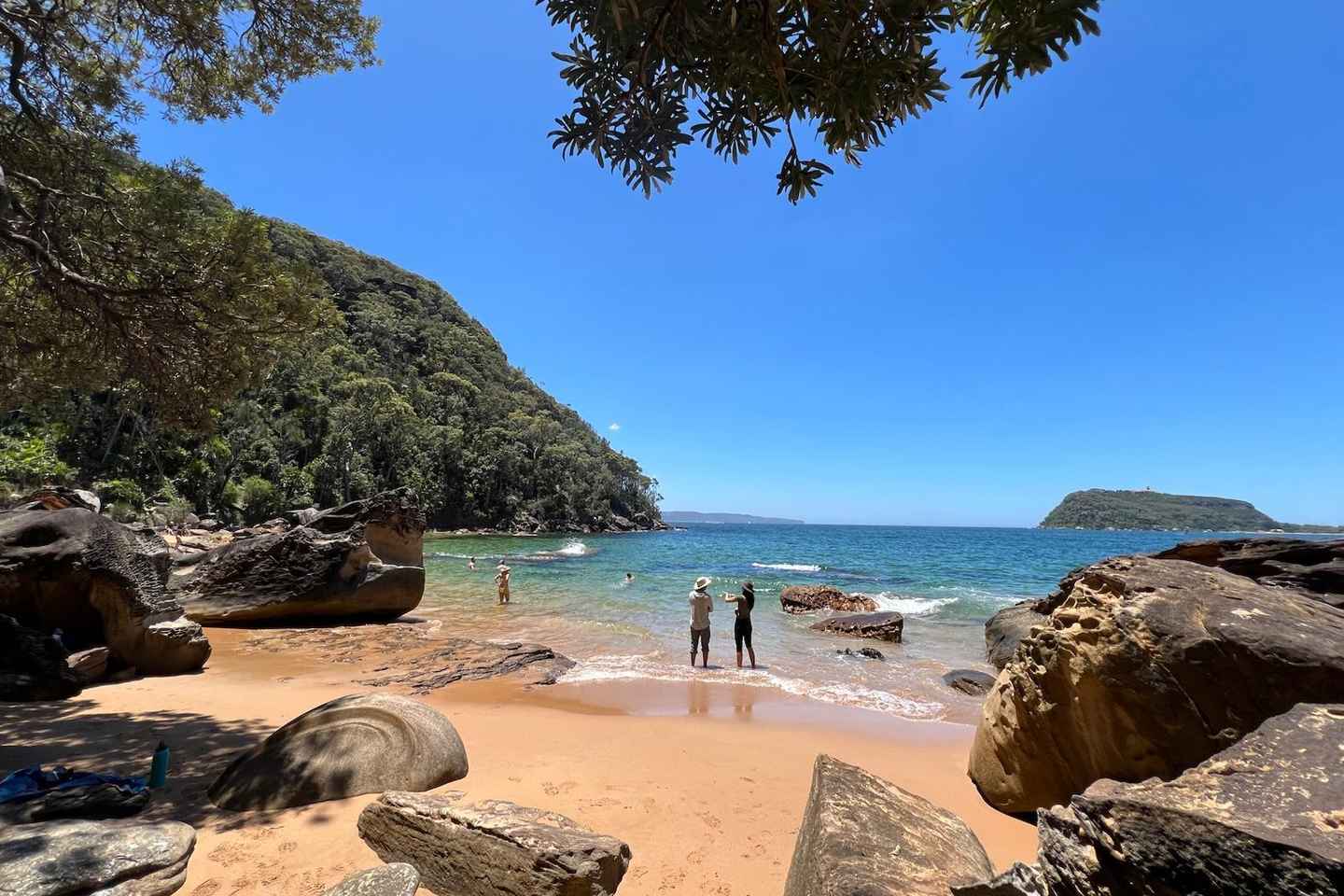 Sydney: Private Ku-ring-gai Chase National Park Adventure - (GYG) Private tour: Ku-ring-gai NP