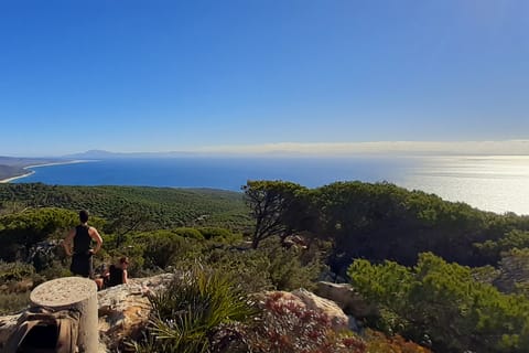 Chiclana de la Frontera: Ruta de la Plata Tour with Picnic