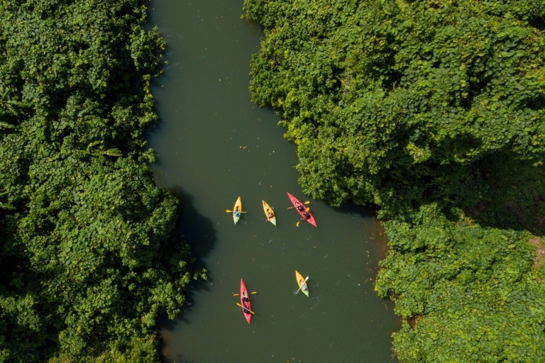 Port Vila: excursion d'une demi-journée en kayak sur la rivière en petit groupe