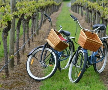 Mattituck: Long Island Private Guided Bike Tour & Tastings