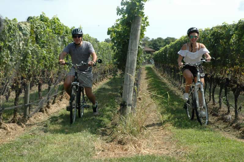 Von Mattituck aus North Fork Area Bike Tour mit Verkostung GetYourGuide