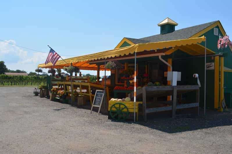From Mattituck Guided Brewery and Vineyard Tour by Bicycle GetYourGuide