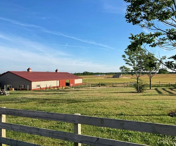 Mattituck: Self-Guided Bike Tour thru Wine Country