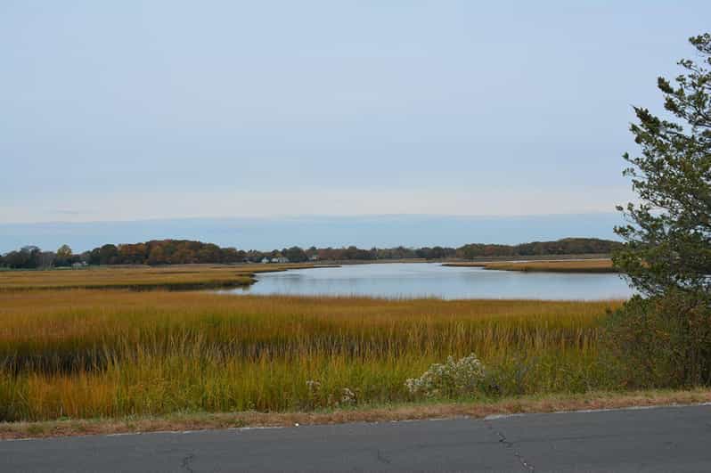 Mattituck SelfGuided Bike Tour thru Wine Country GetYourGuide