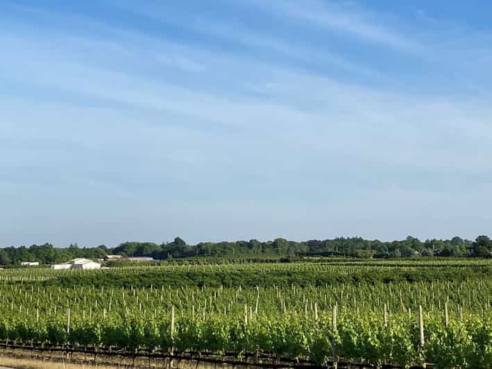 Mattituck SelfGuided Bike Tour thru Wine Country GetYourGuide