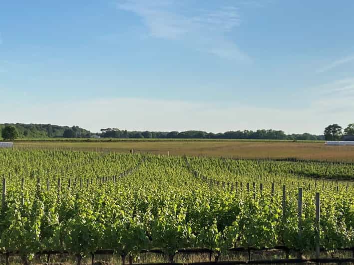 Mattituck SelfGuided Bike Tour thru Wine Country GetYourGuide