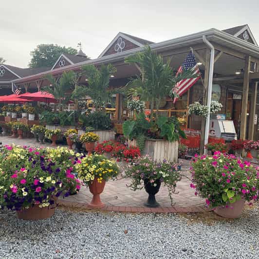 Mattituck SelfGuided Bike Tour thru Wine Country GetYourGuide