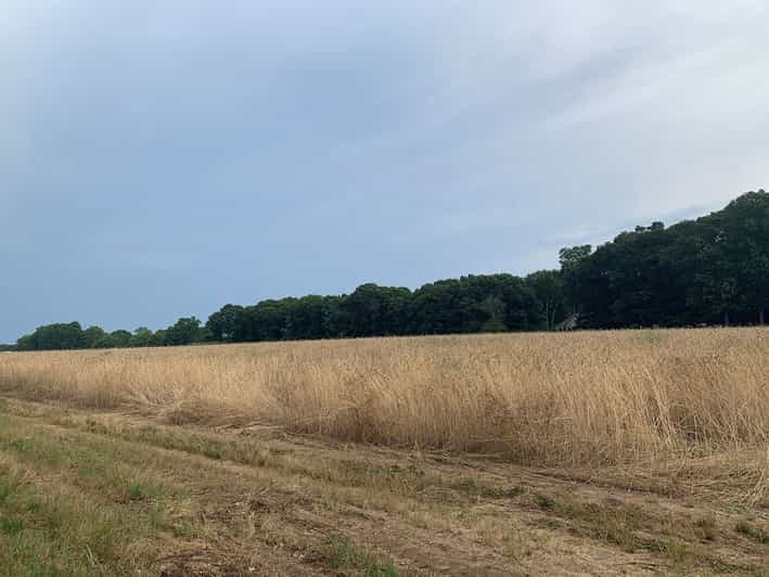 Mattituck SelfGuided Bike Tour thru Wine Country GetYourGuide