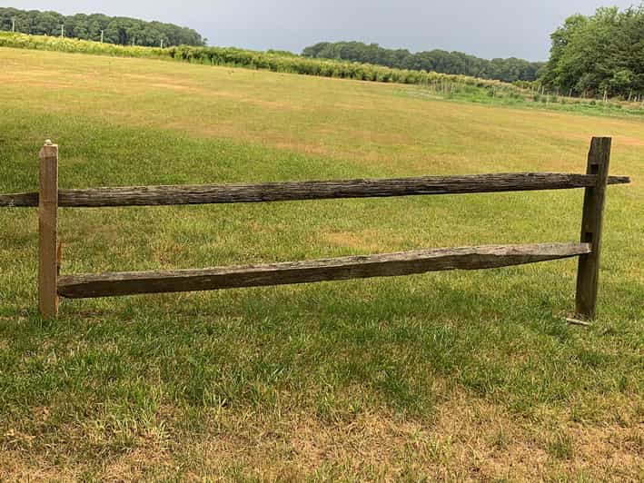 Mattituck SelfGuided Bike Tour thru Wine Country GetYourGuide