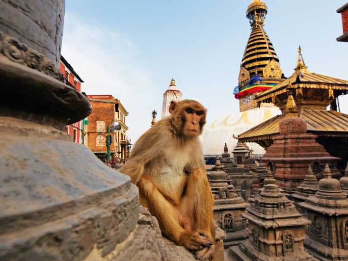 Kathmandu UNESCO World Heritage Sites Private Tour
