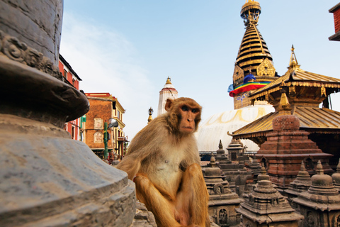 Kathmandu: 1-tägige private UNESCO-Weltkulturerbetour