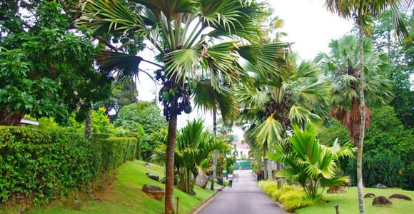 Mahé: Private Customizable Full-Day Tour with Hotel Pickup