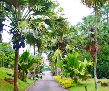 Mahé: Private Customizable Full-Day Tour with Hotel Pickup