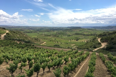 Au départ de Bilbao : Excursion d'une journée dans deux vignobles de la Rioja avec déjeuner pique-nique