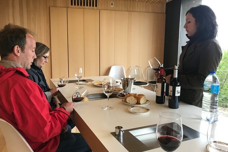 Z Bilbao: wycieczka do dwóch winiarni Rioja z lunchem piknikowym
