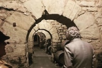 Premium Wine Tour of Rioja with Gourmet Lunch (From Bilbao) - Housity