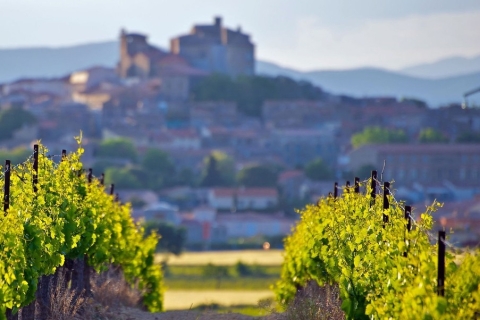 Premium-Weintour durch die Rioja mit Gourmet-Mittagessen (ab Bilbao)Tour für 3-4 Personen