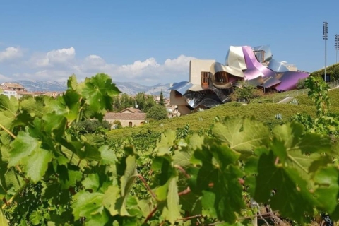Premium Wine Tour of Rioja with Gourmet Lunch (From Bilbao) Tour for 5-7 People