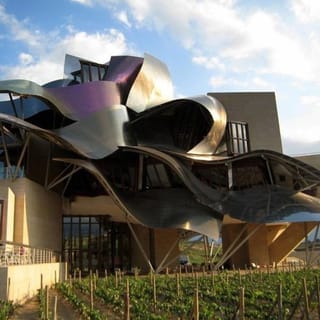 Da Bilbao: tour del vino della Rioja con pranzo gourmet