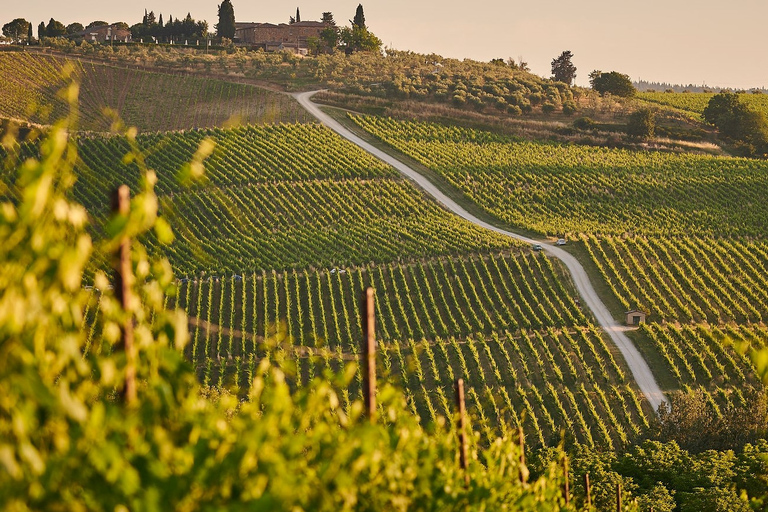 جولة رشفة في 3 مصانع نبيذ عائلية في ريوخا3-4 أشخاص