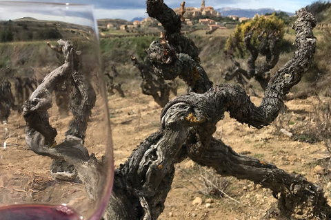 جولة رشفة في 3 مصانع نبيذ عائلية في ريوخا3-4 أشخاص