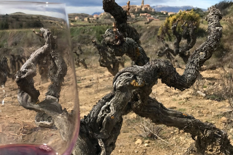 جولة رشفة في 3 مصانع نبيذ عائلية في ريوخا3-4 أشخاص