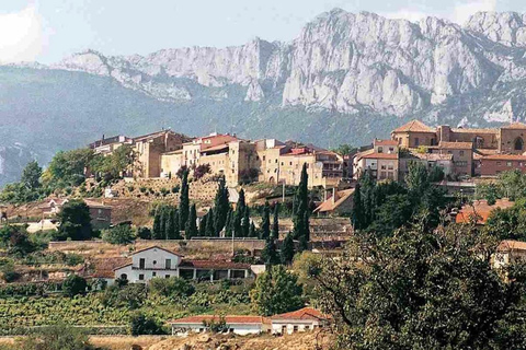 جولة رشفة في 3 مصانع نبيذ عائلية في ريوخا3-4 أشخاص