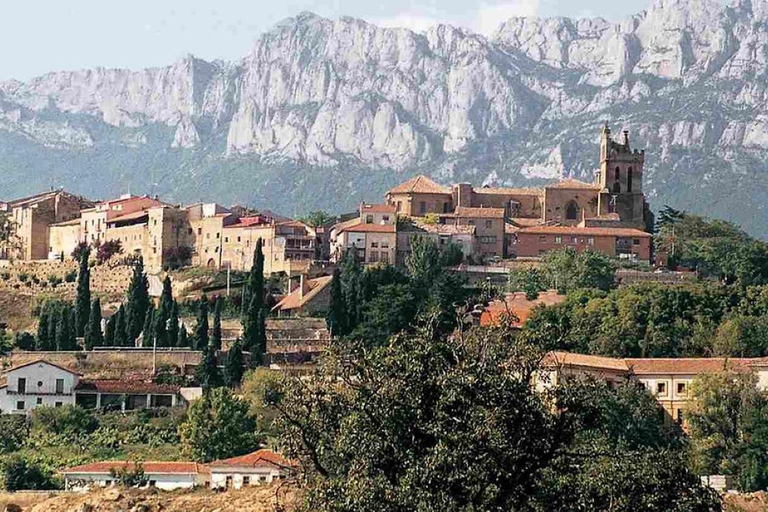 جولة رشفة في 3 مصانع نبيذ عائلية في ريوخا3-4 أشخاص