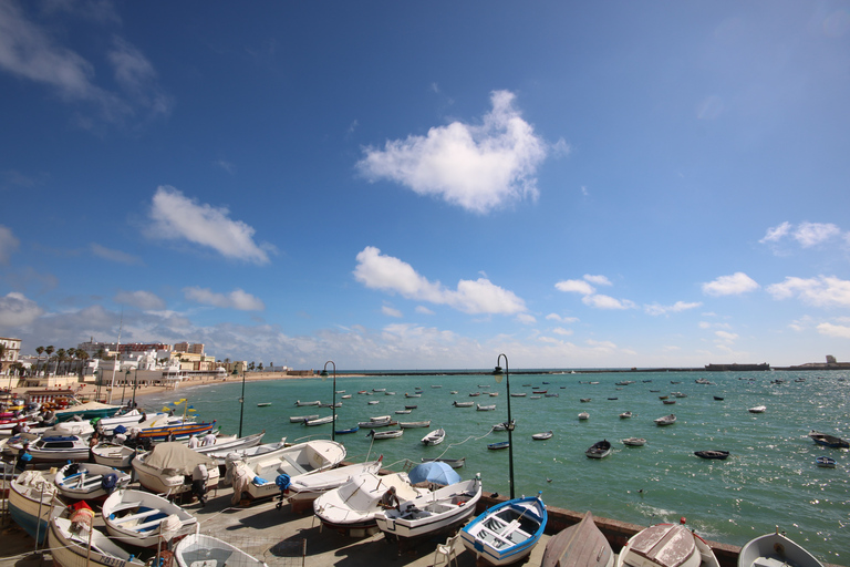 Depuis Séville : Excursion privée guidée à Cadix et Jerez