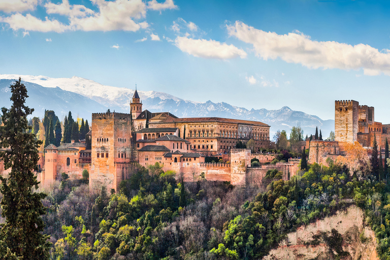 Granada: Alhambra and Nasrid Palaces Private Guide Tour Granada: Alhambra and Nasrid Palaces Private Guide Tour - ES