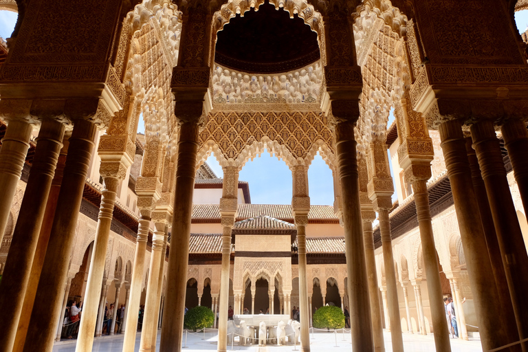 Granada: Alhambra and Nasrid Palaces Private Guide Tour Granada: Alhambra and Nasrid Palaces Private Guide Tour - ES