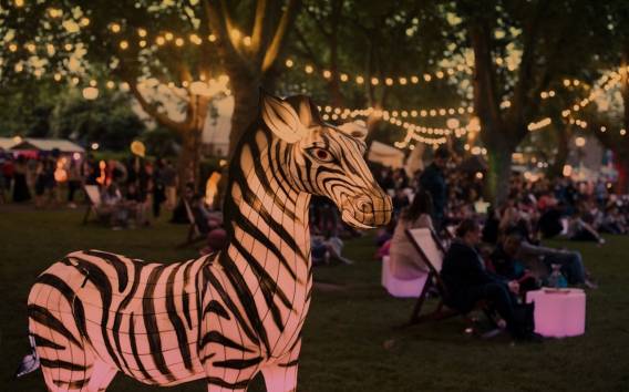 London: Abendticket für den Londoner Zoo nur für Erwachsene