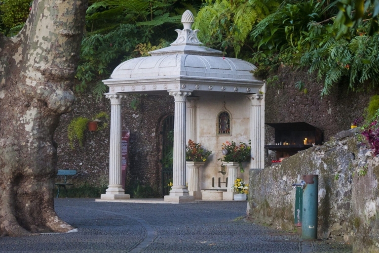 Madeira: tour privado del monte en teleférico con trasladoRecogida en Funchal, Caniço, Cma Lobos