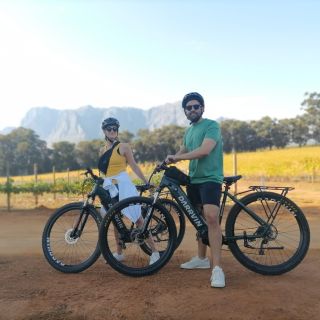 Stellenbosch: tour guidato del vino in e-bike