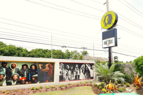 Kingston: Bob Marley Museum Tour from Montego Bay