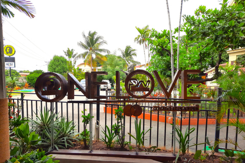 Kingston : Visite du musée Bob Marley depuis Montego Bay