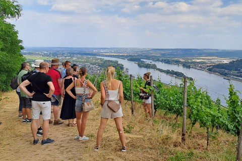 Rüdesheim &quot;Den vintastiska turen&quot;